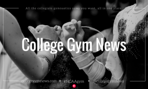 college gym news header