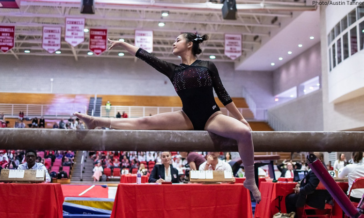 Gymnastics, Austin, TX