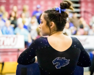 The back of a Kentucky gymnasts' leotard showing a Wildcat