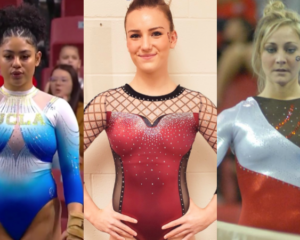 ucla boob sling leotard, oklahoma fishnet leotard, georgia white shiny sleeve leotard