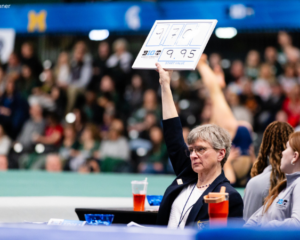 judge raising a score in the air
