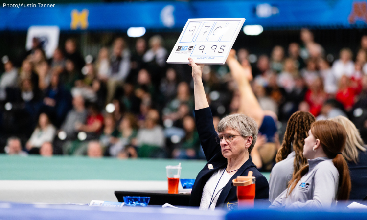 judge raising a score in the air