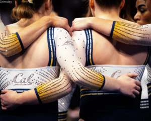 Members of the California gymnastics team stand arm-in-arm in a huddle, wearing white leotards with gold and navy details and rhinestone patterns that spell “Cal.” The photo captures a close-up view from behind, highlighting their unity and team spirit.