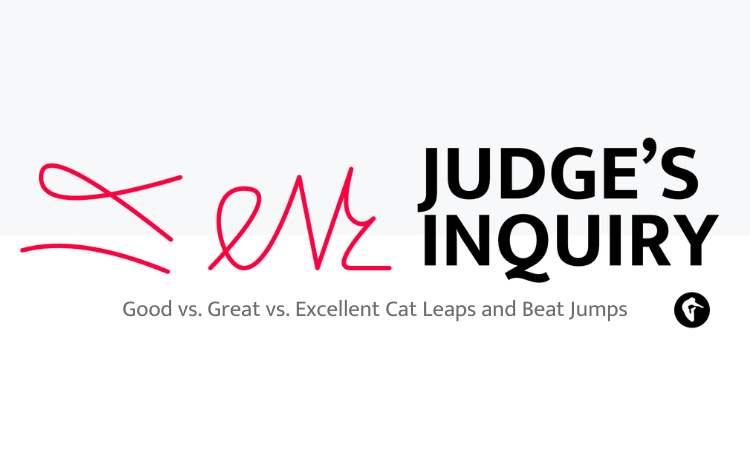 Judge's Inquiry Good vs. Great vs. Excellent Cat Leaps and Beat Jumps